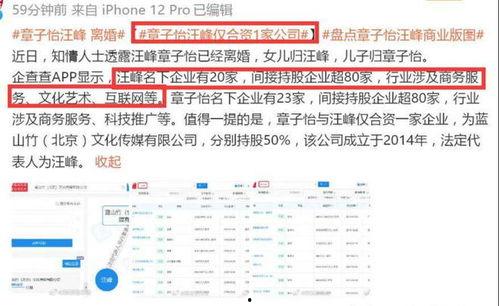 刘一飞直播爆料汪峰视频,揭秘背后惊人真相 第3张 刘一飞直播爆料汪峰视频,揭秘背后惊人真相 第3张
